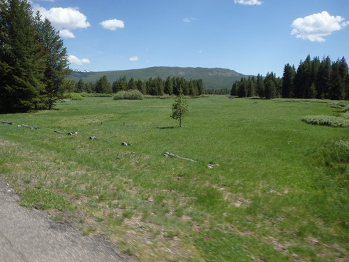 GDMBR: National Park Service styled fence markers.